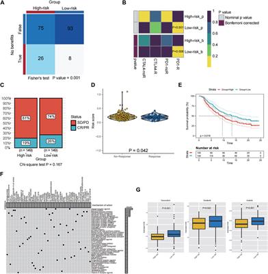 Pyroptosis-related genes prognostic model for predicting targeted therapy and immunotherapy response in soft tissue sarcoma